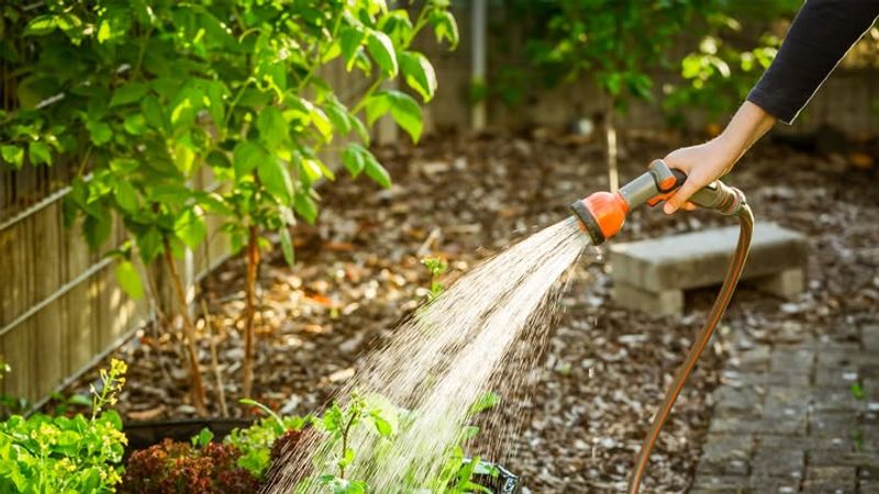 Water Deeply So Roots Grow Stronger And More Resilient