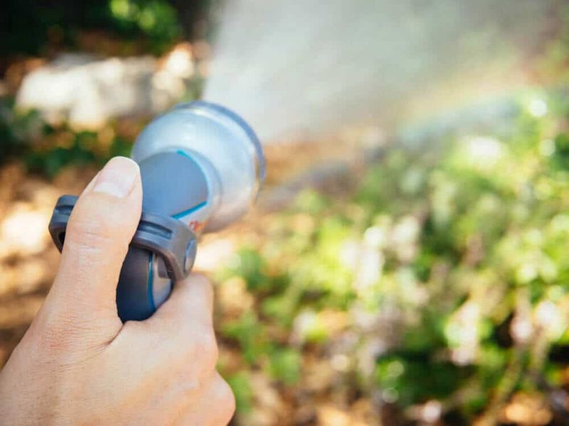 Increase Watering During Extreme Heat