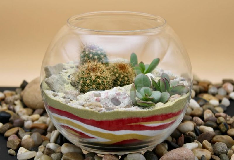 Position Your Terrarium For Perfect Light