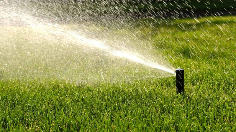 Deep Soaks Beat Light Daily Sprinkles Every Time