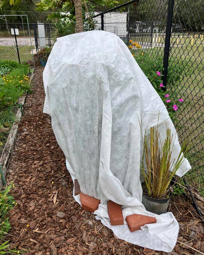 Use Garden Fabric For Extra Warmth