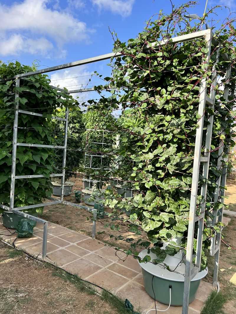 Set Up A Strong Support Structure Early