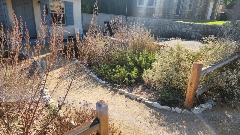 Natural Dormancy Cycles