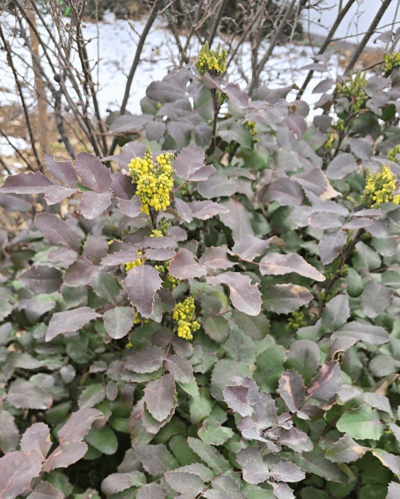 Let Spring Growth Happen Naturally