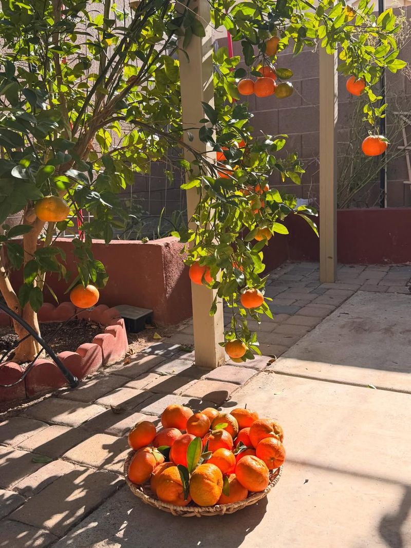 Sunlight And Location Are Not Something To Guess About