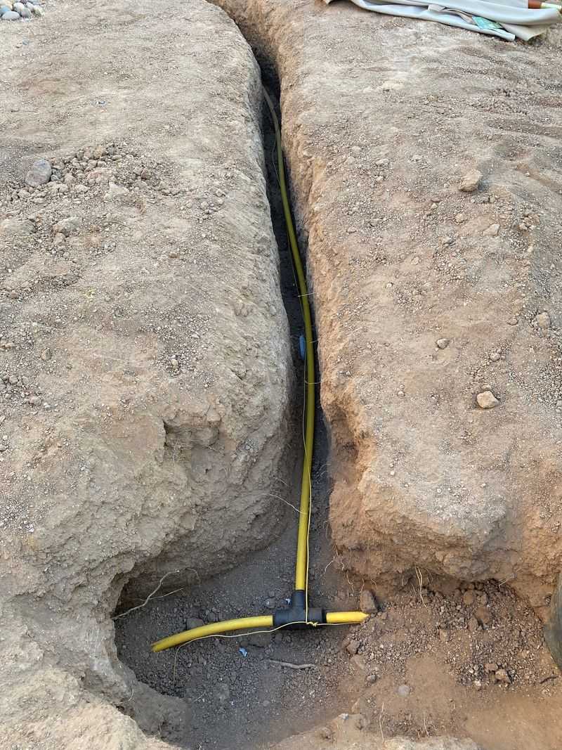 Ignoring Soil Drainage Before Planting