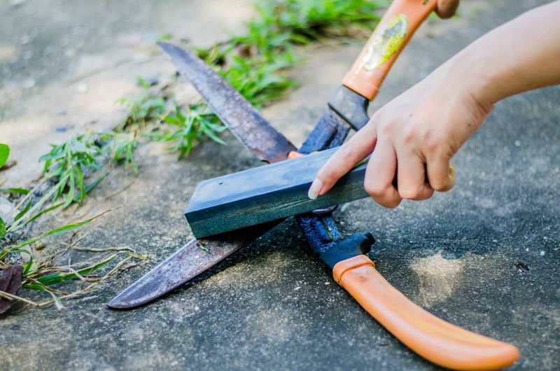Clean And Sharpen Garden Tools Before Peak Season