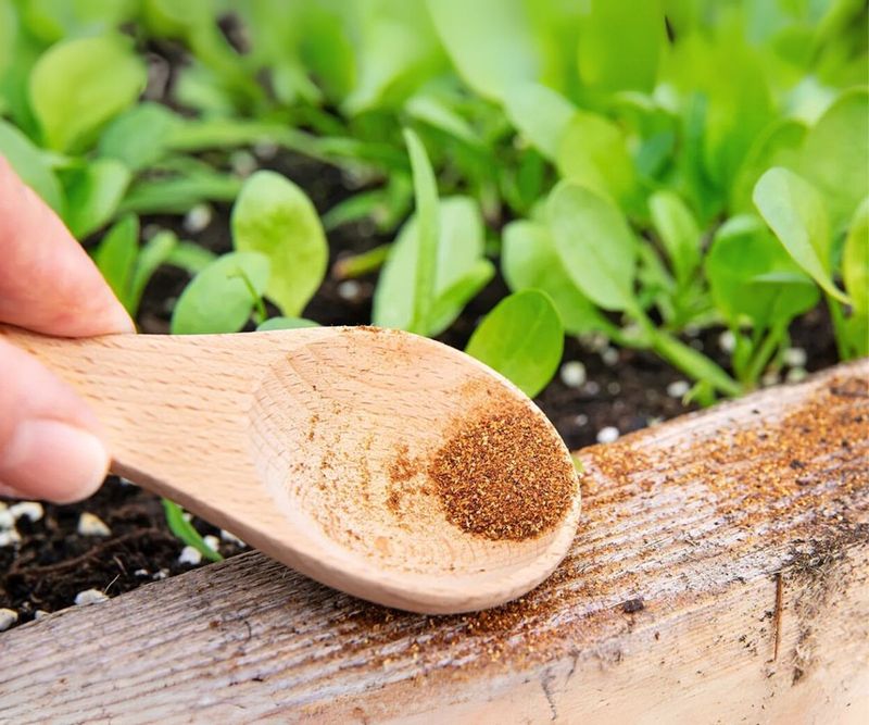 Spice Things Up With Cayenne Pepper