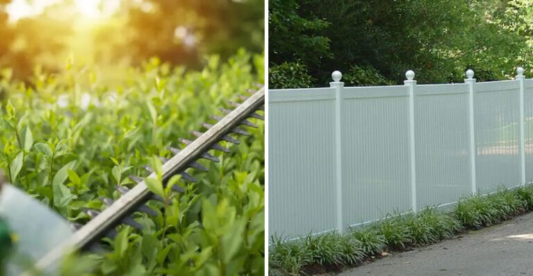What Can You Do If Your Neighbor’s Bushes Are Crossing Your Property Line in Virginia?