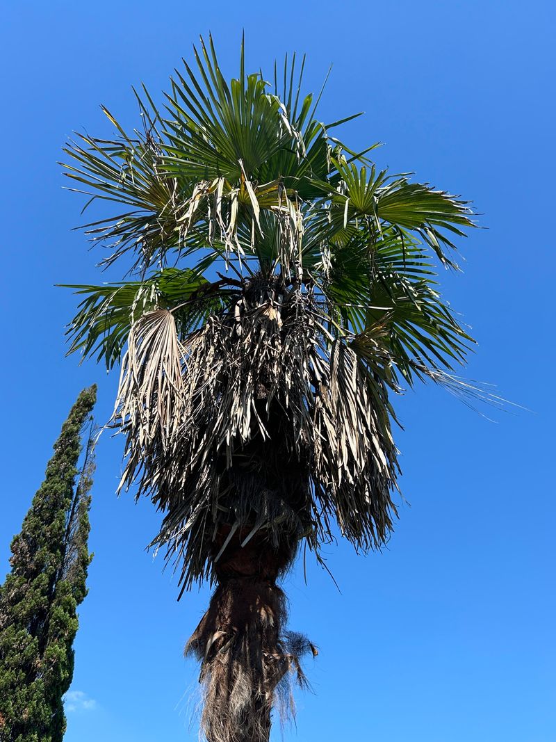 Sudden Temperature Drops After Warm Spells