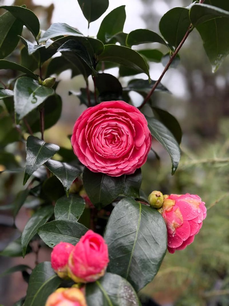 Water Deeply As New Growth Starts