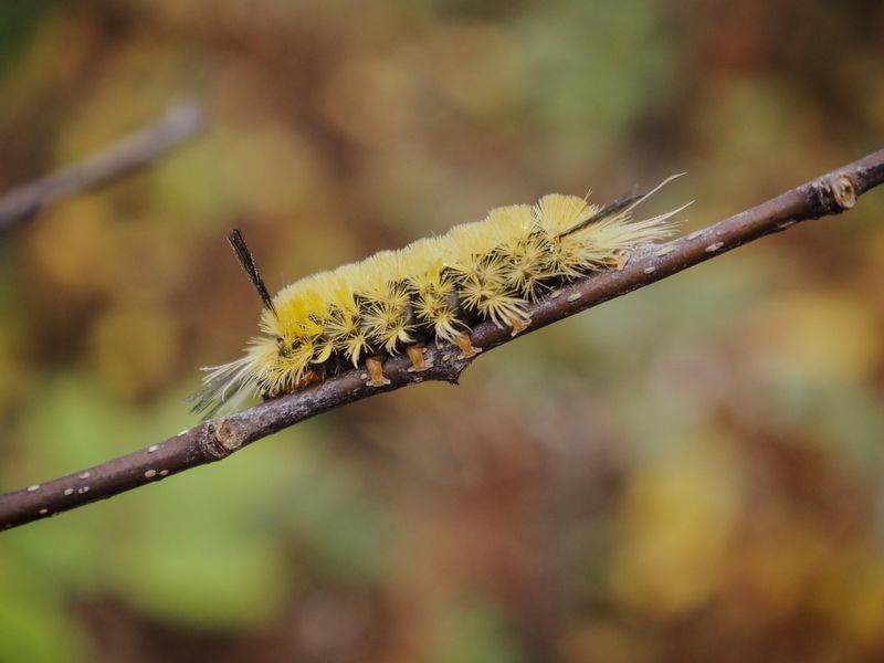 Why You Should Think Twice Before Touching It