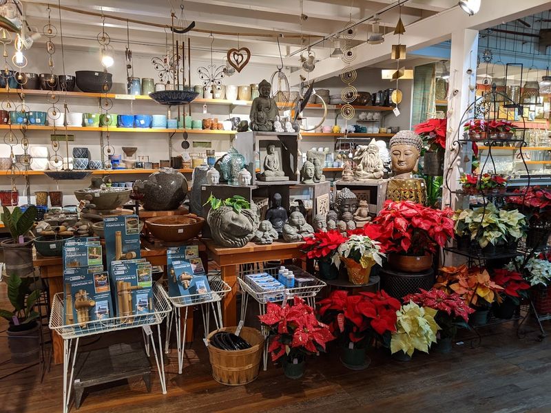 The Best Time To Visit For Fresh Arrivals And Seasonal Color