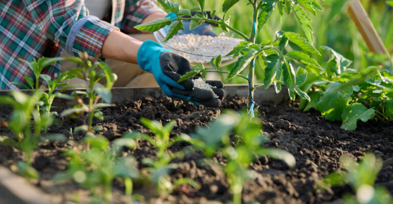 fertilizng plants