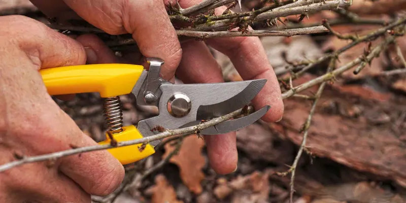 Why The Timing Matters More Than You Think