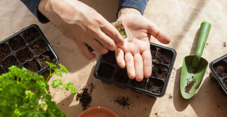 What Seeds To Start Indoors In March In Ann Arbor Michigan