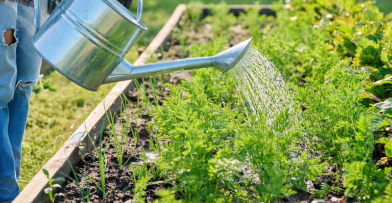 What Southwest Ohio Gardeners Can Plant Early For A Head Start