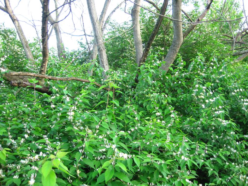 If You Already Have One The Best Move Is To Act Early