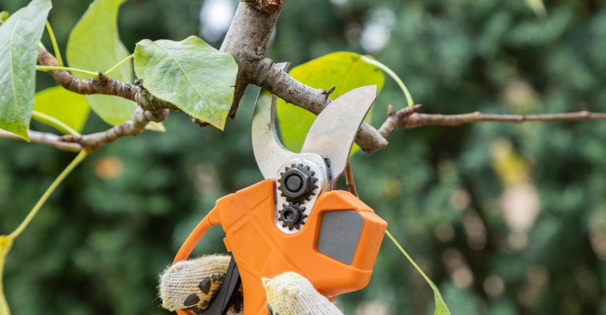 What Texas Gardeners Should Do During March For A Strong Spring Start