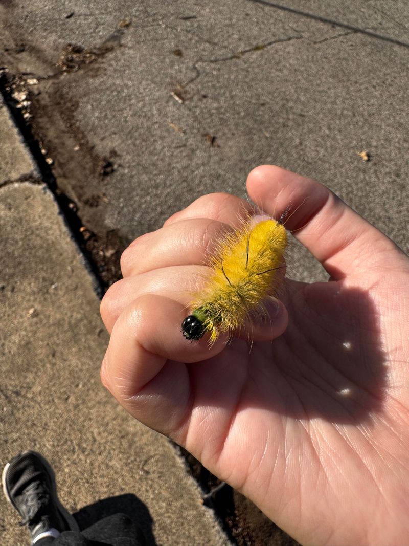 What Happens If You Touch It And What To Do Next