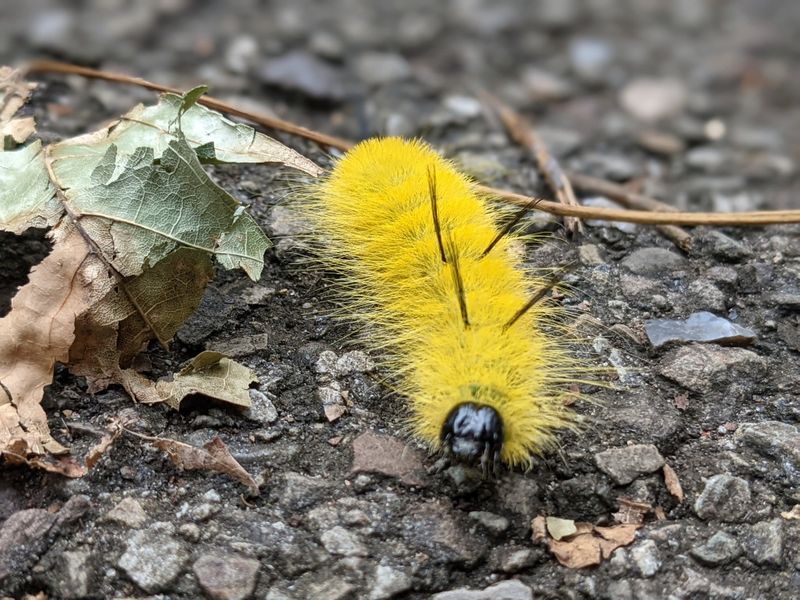 What Happens If You Touch It (And What To Do Next)