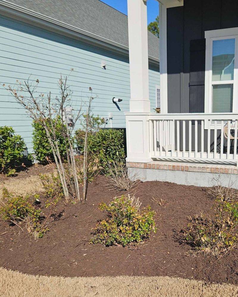 Refresh Garden Beds Before Spring Growth Surges