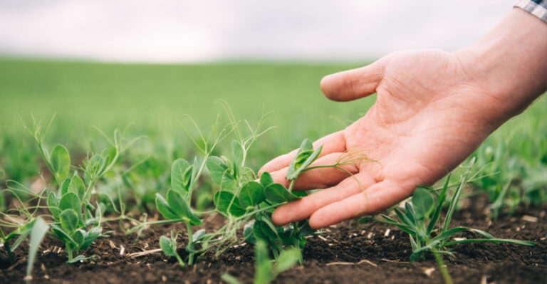 What To Plant In Pennsylvania Before April Arrives