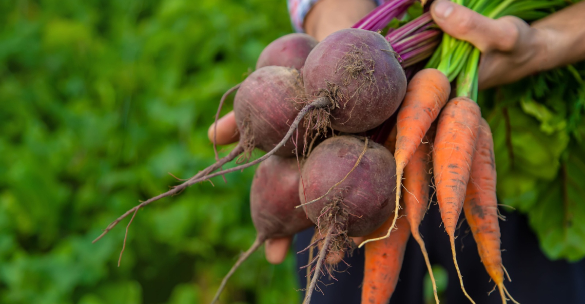 beets and carrots
