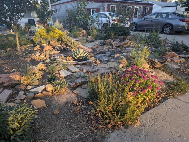 Start With A Yard Plan Before You Remove Anything