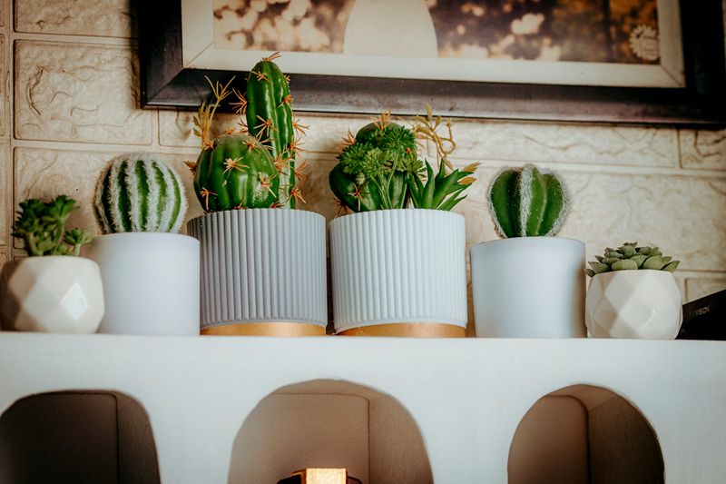 Finding The Perfect Indoor Temperature For Texas Spring