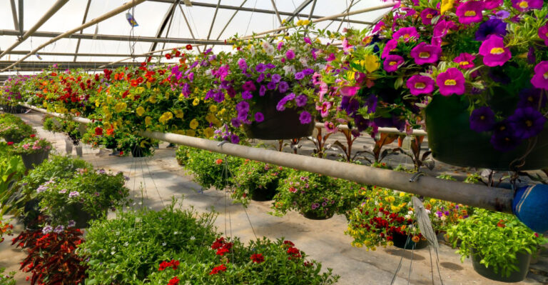 What’s Selling Out Fast In Oregon Plant Nurseries