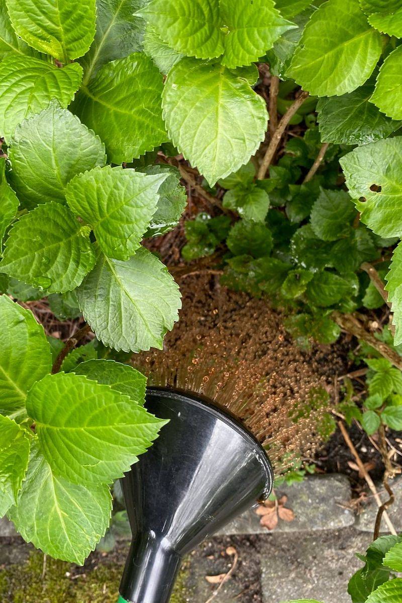 How To Apply Fertilizer The Right Way?