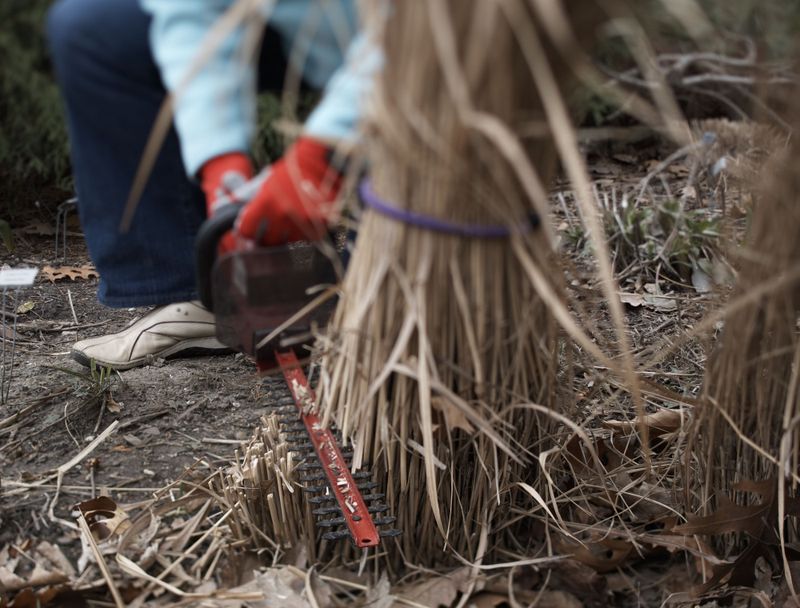 March Is The Perfect Time To Cut Back Ornamental Grasses In Ohio