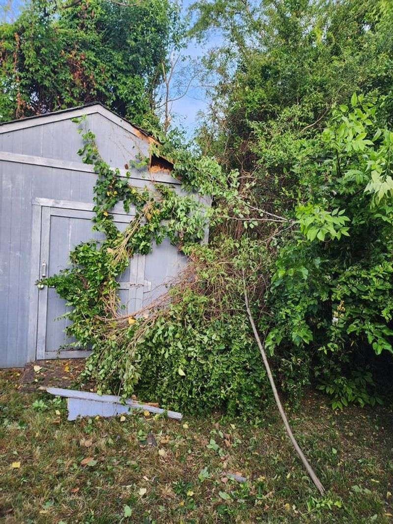 File A Lawsuit For Property Damage