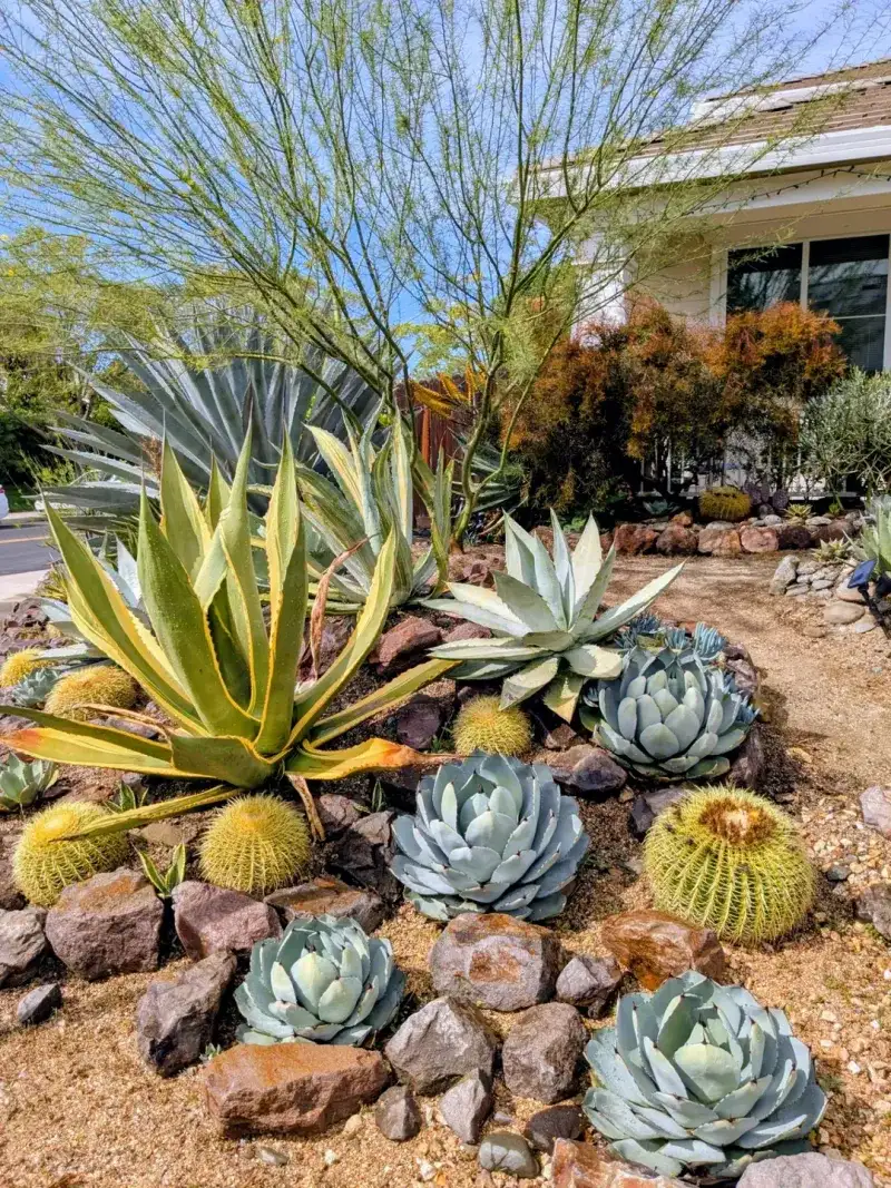 Cuts Down On Irrigation And Keeps Water Use Low