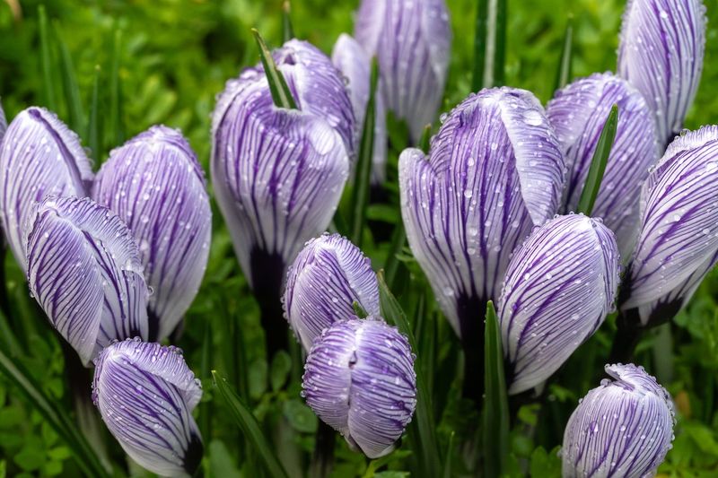 Warmer Late-Winter Temperatures