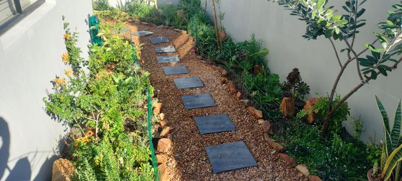 Water-Wise Landscaping