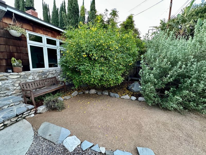 The Plants That Suit It Best