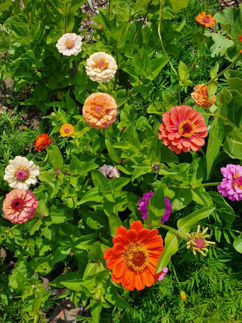 Why March Feels Early But Works In Arizona