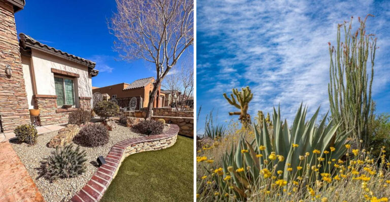 Why March Is One Of The Best Months For Landscaping In Phoenix, Arizona