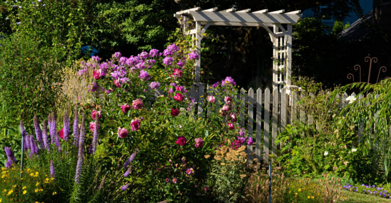 Why Naturalistic Landscaping Is Taking Over Oregon Yards In 2026