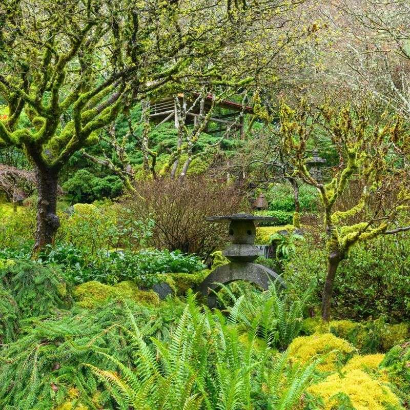 Rainy Winters Create Lush, Evergreen Landscapes