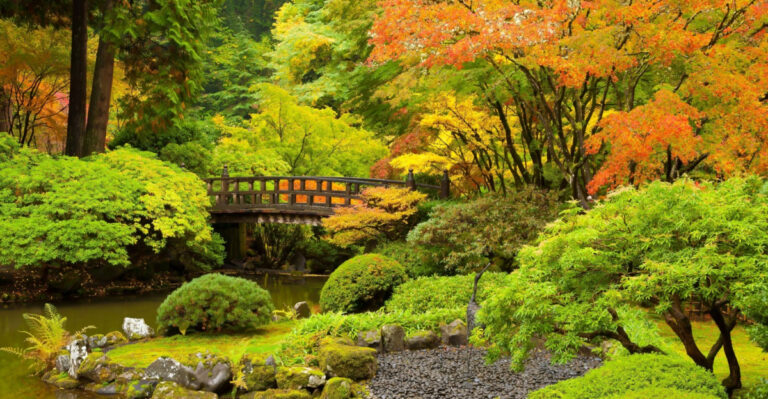 Why Oregon Gardens Look So Different From The Rest Of The Country