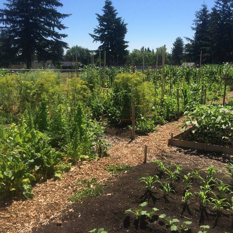 Understanding Oregon's Soil Profile