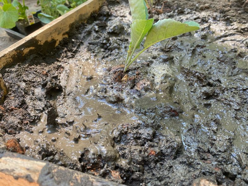 Soil Holds Moisture Longer In Early Spring