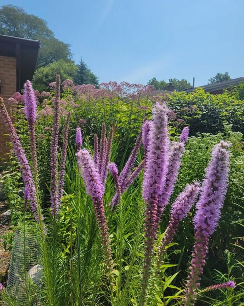 Easy To Grow, Easy To Love