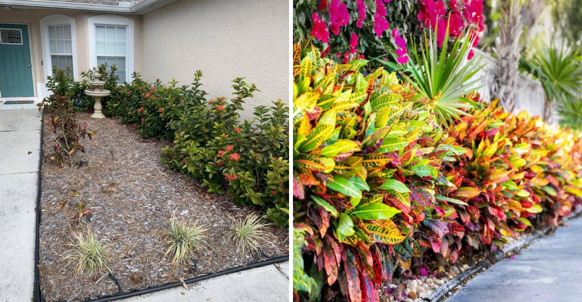 bare garden spot and lush foliage