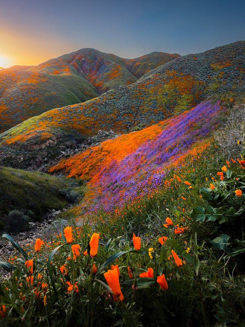Rainfall Patterns And Seasonal Timing Across California