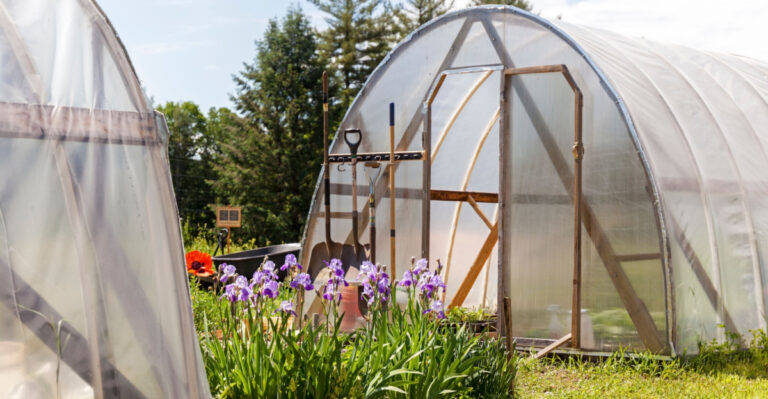 Why Some Michigan Gardeners Use Hoop Houses Instead Of Greenhouses