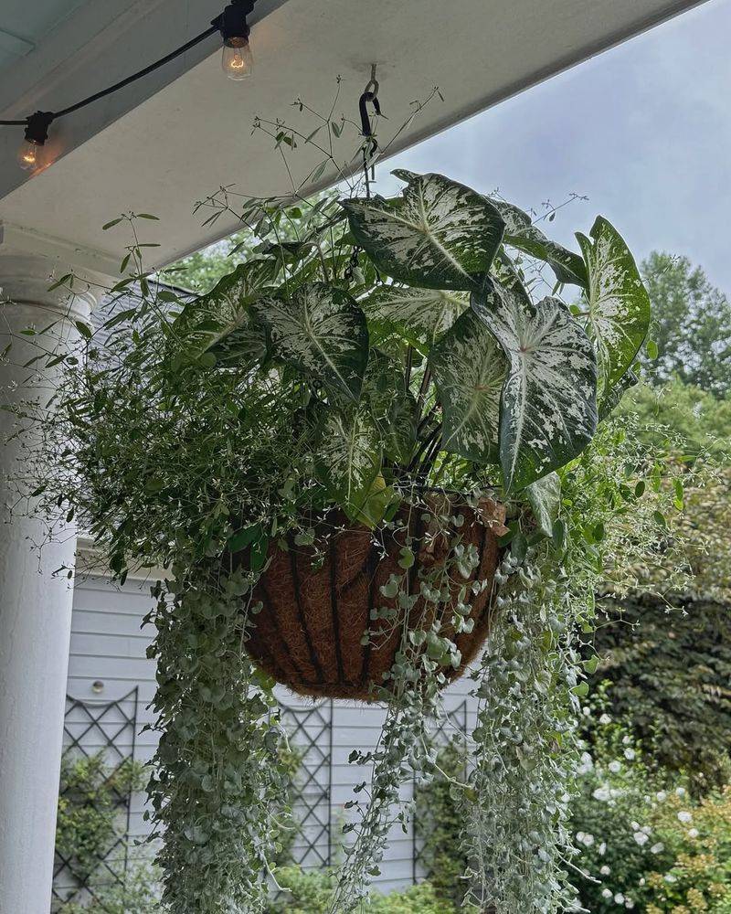 Higher Humidity On The Coast